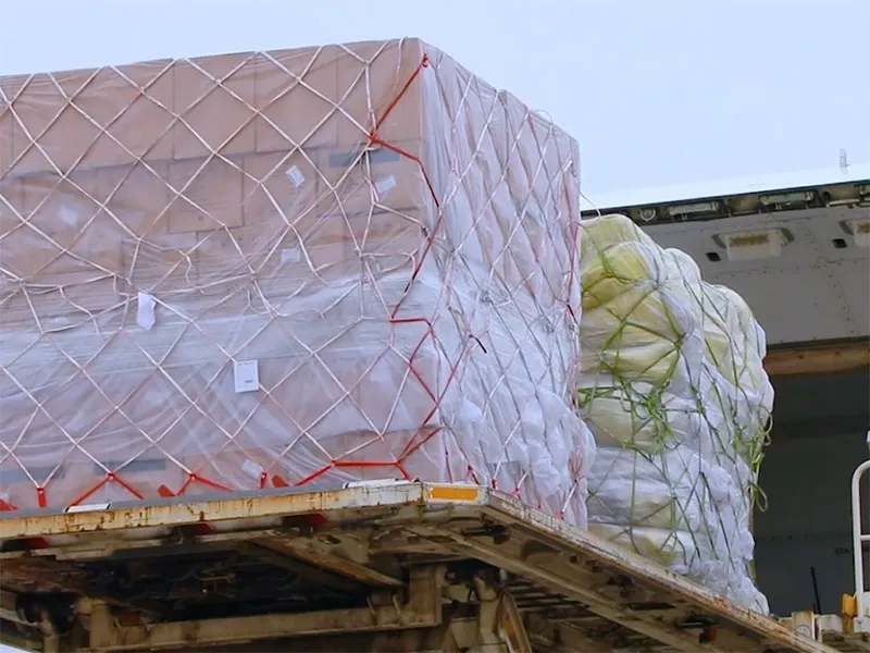 Packaging and Shipping Service